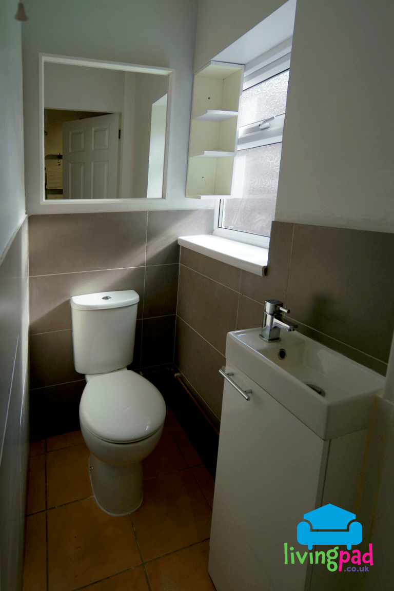 Toilet at rear of house